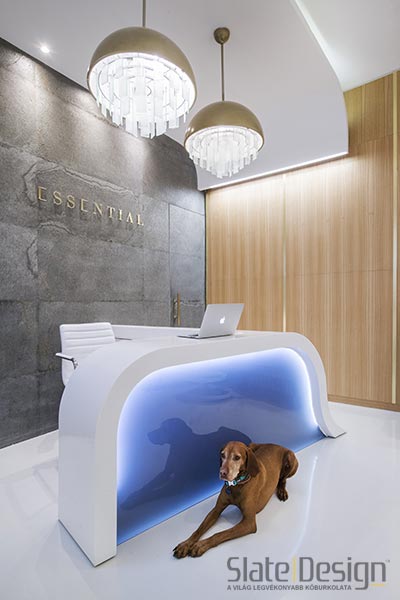 recepcios pult dizajn tervezes kofurner 3